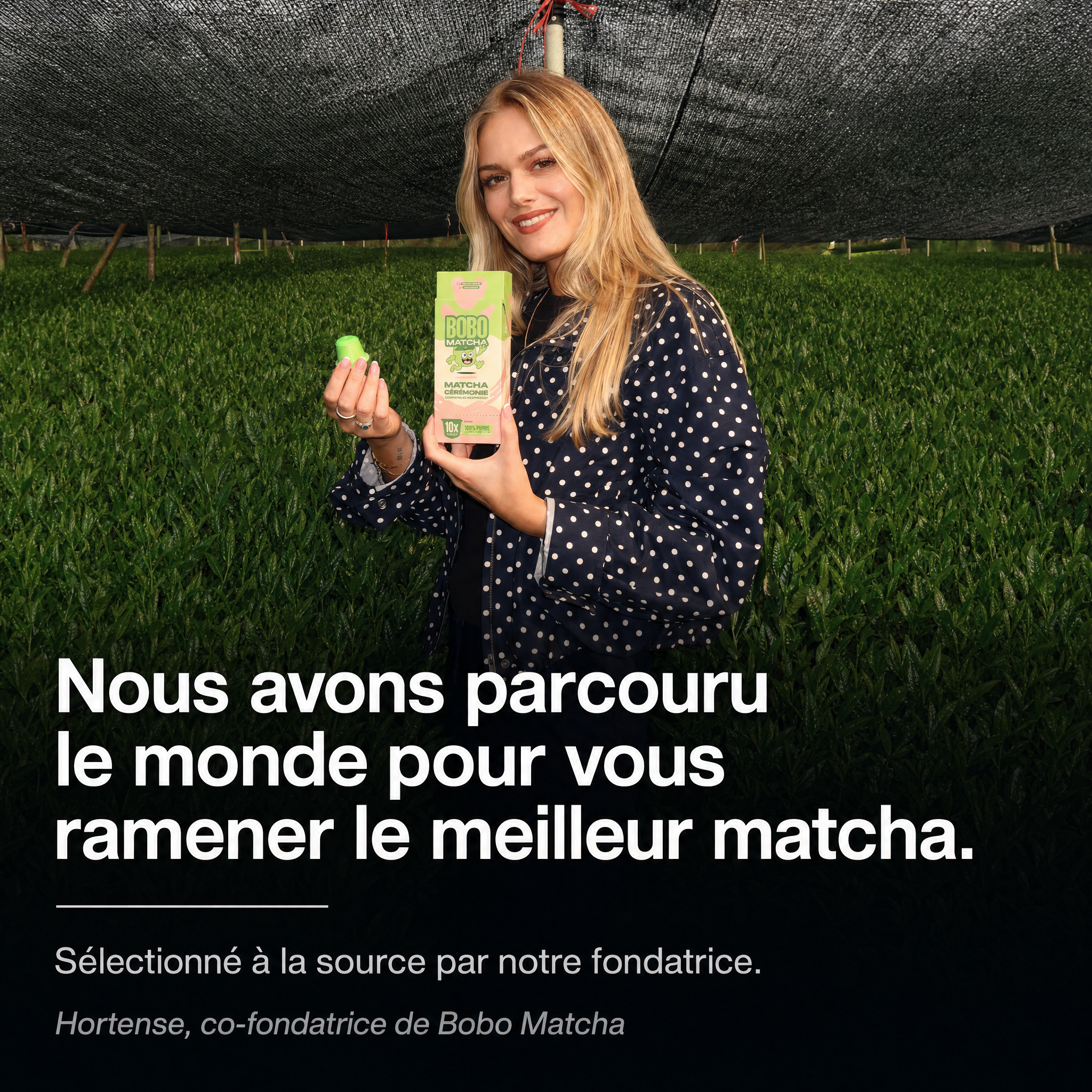 Vente en gros - Capsules Cérémonial Matcha – Compatibles Nespresso®